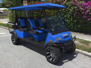 fort myers golf cart repair, golf cart service, mobile repair