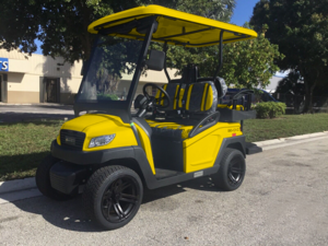 fort myers golf cart repair, golf cart service, mobile repair