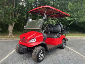 fort myers golf cart rental, golf cart rental, golf cars for rent