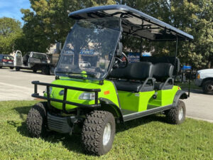 fort myers golf cart repair, golf cart service, mobile repair